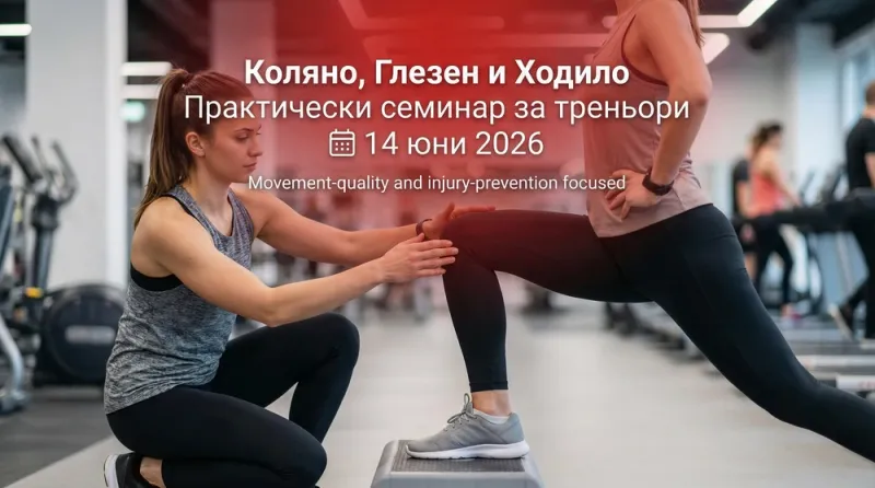 Коляно, Глезен и Ходило
