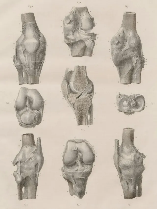 Day 1